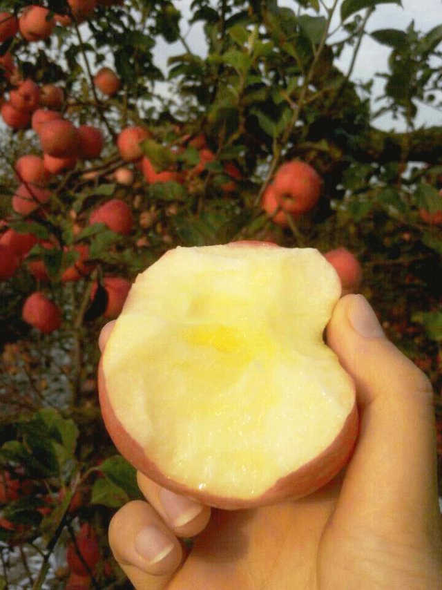 浮躁的世界，我們卻在靜心栽培企業(yè)宣傳片