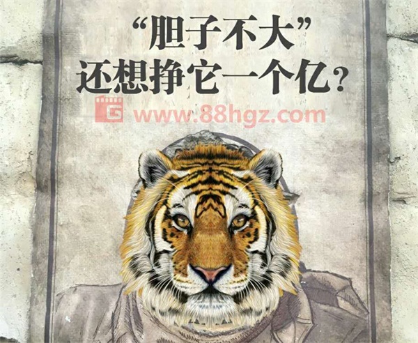 還能更高嗎？與迪瑪希共鳴的，是我們追隨企業(yè)宣傳片的信仰