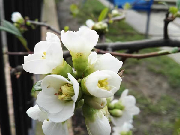 假如我有3天時間-我愿意留住企業(yè)宣傳片制作最美的瞬間 假如我有3天時間-我愿意留住企業(yè)宣傳片制作最美的瞬間