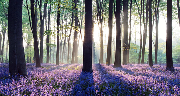 常見(jiàn)的房地產(chǎn)3D動(dòng)畫(huà)制作案例有哪些？