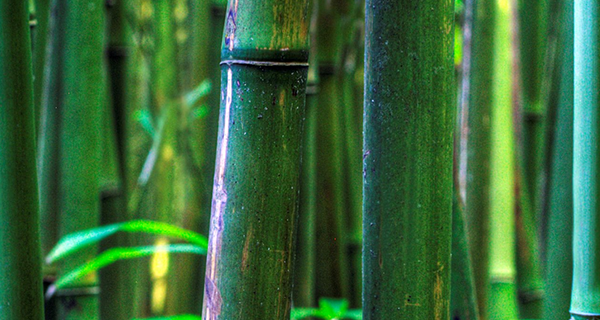 常見(jiàn)的房地產(chǎn)3D動(dòng)畫(huà)制作案例有哪些？