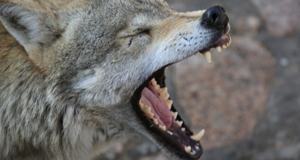 瓜子指南：怎樣拍攝新穎且極具傳播力企業(yè)宣傳片？